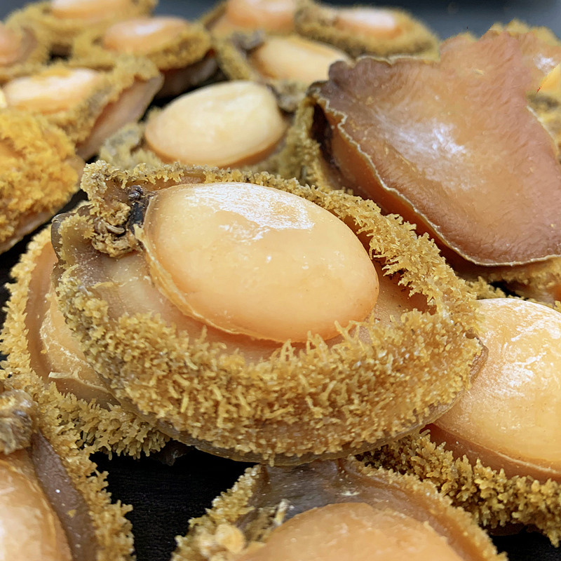 虎钢馋干鲍鱼15-16头一斤特级干网鲍鱼干货100g