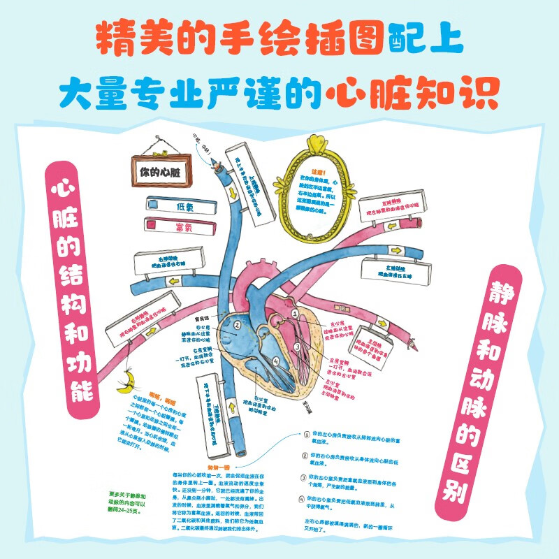 心脏城堡详情图