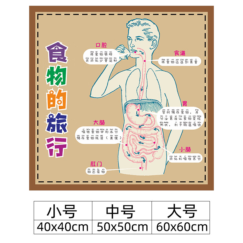 幼儿园粮食绿色食物环创米饭的由来健康与垃圾食品安全标志墙贴 食品