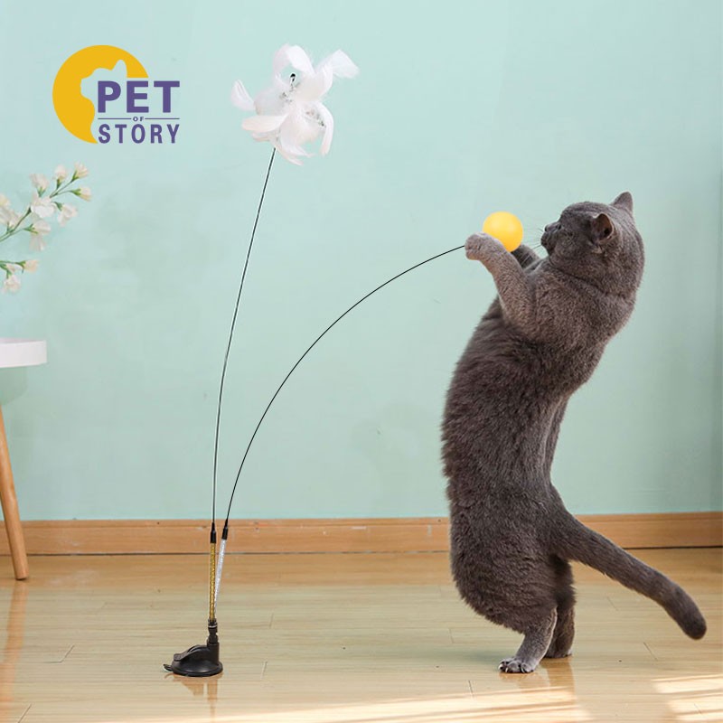 猫玩具历史价格网站|猫玩具价格走势图