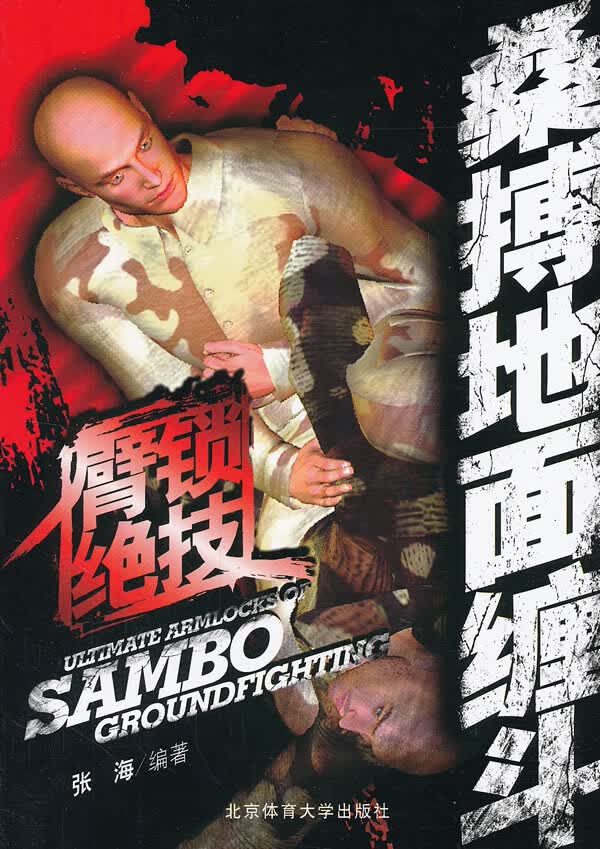 臂锁绝技-桑搏地面缠斗【正版图书】