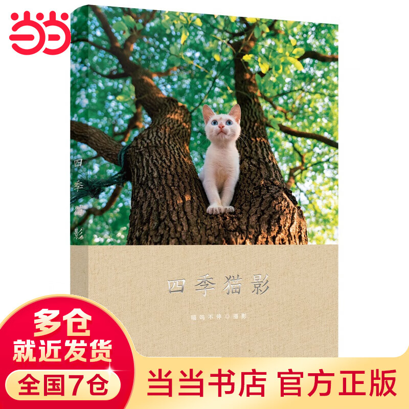 四季猫影