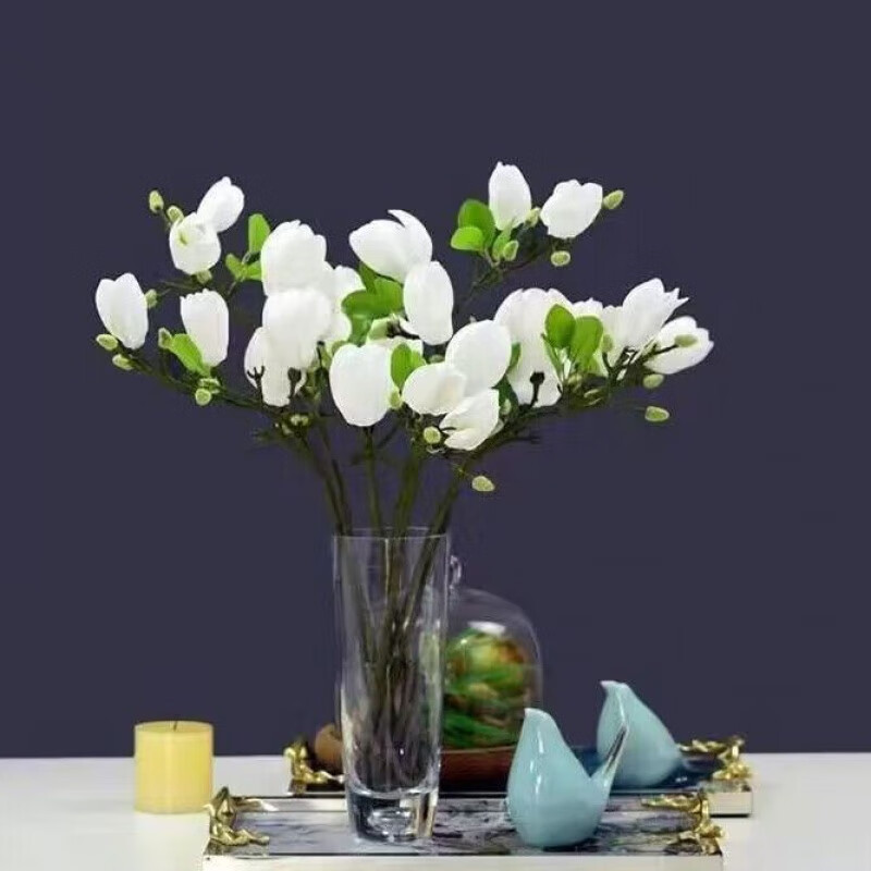 素蜜遇水开花带花苞水培玉兰花卉四季植物水养花室内客厅 纯白带花苞
