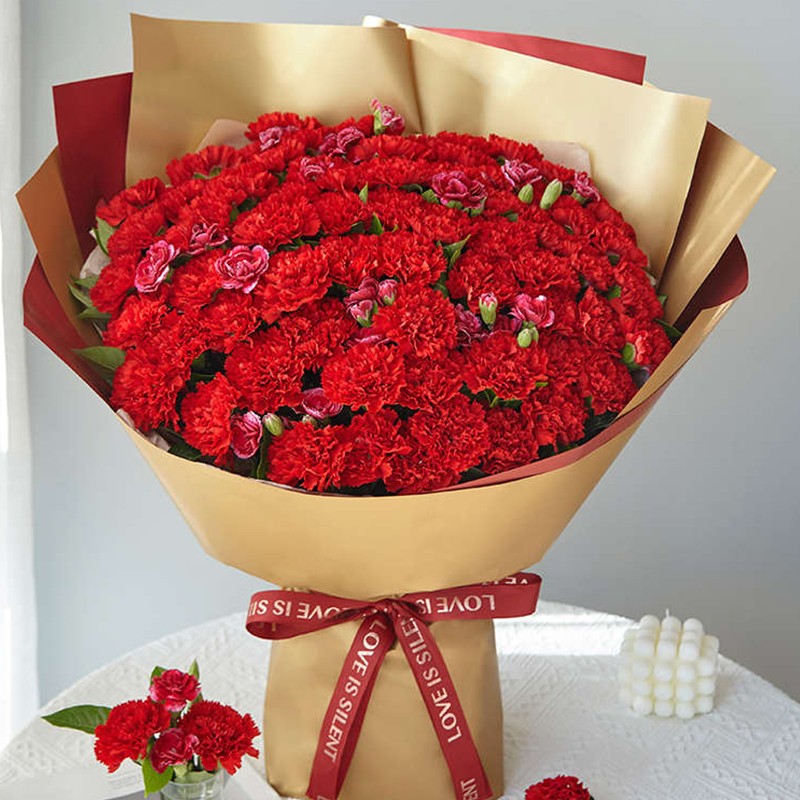 花礼康乃馨鲜花同城配送66朵花束生日礼物送妈妈母亲长辈老人花店送花