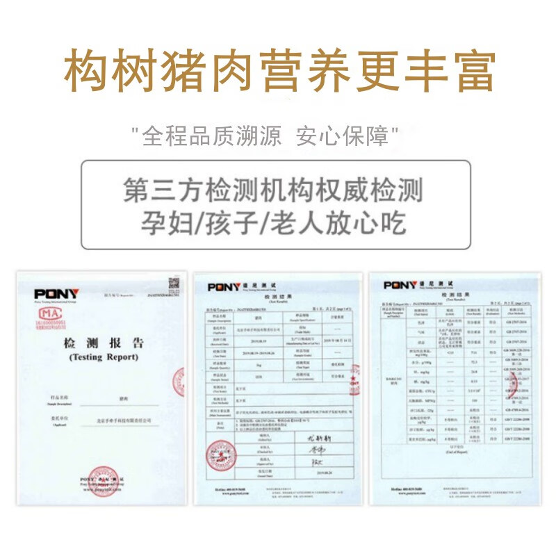 楮木香排骨 肋排 黑猪肉 构树饲养土猪肉猪小排烧烤 猪肉 生鲜源头直发 构树黑猪肋排2.4斤