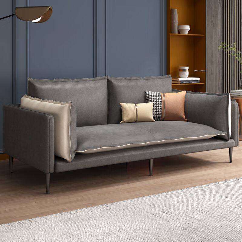 品四季2024新款 沙发小户型北欧简易客厅布艺沙发网红轻奢风沙发 墨