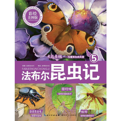 为爱而生的天使》(彩绘美图童话版 精彩昆虫童话科普思维)【正版书籍