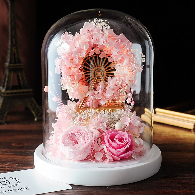 轮花 相关京东优惠商品排行榜 价格图片品牌优惠券 虎窝购