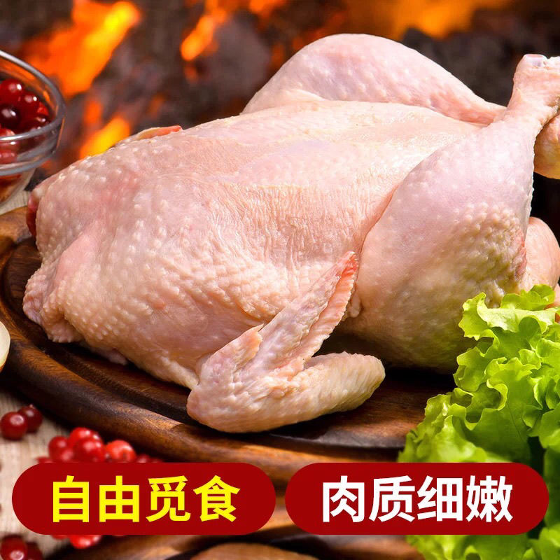 鸡肉整鸡精修多肉童子鸡禽类土鸡三黄鸡批发炸鸡肉食材生鲜鸡 精修整