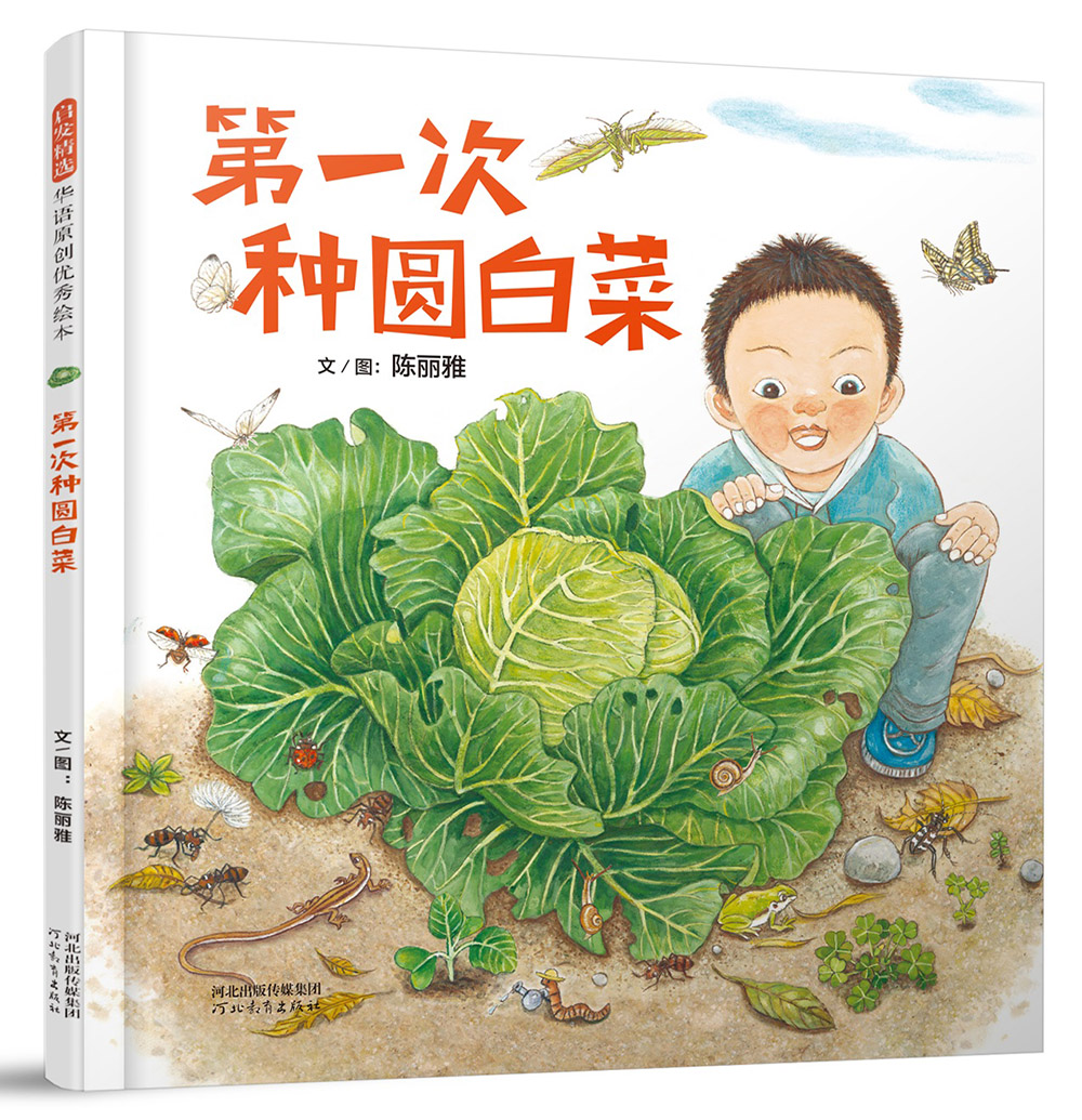 第一次种圆白菜华语原创优秀绘本启发官方自营店