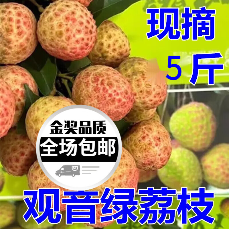 美礼观音绿荔枝广东5斤孕妇水果顺丰 3斤 观音绿 臻品 3斤  观音绿