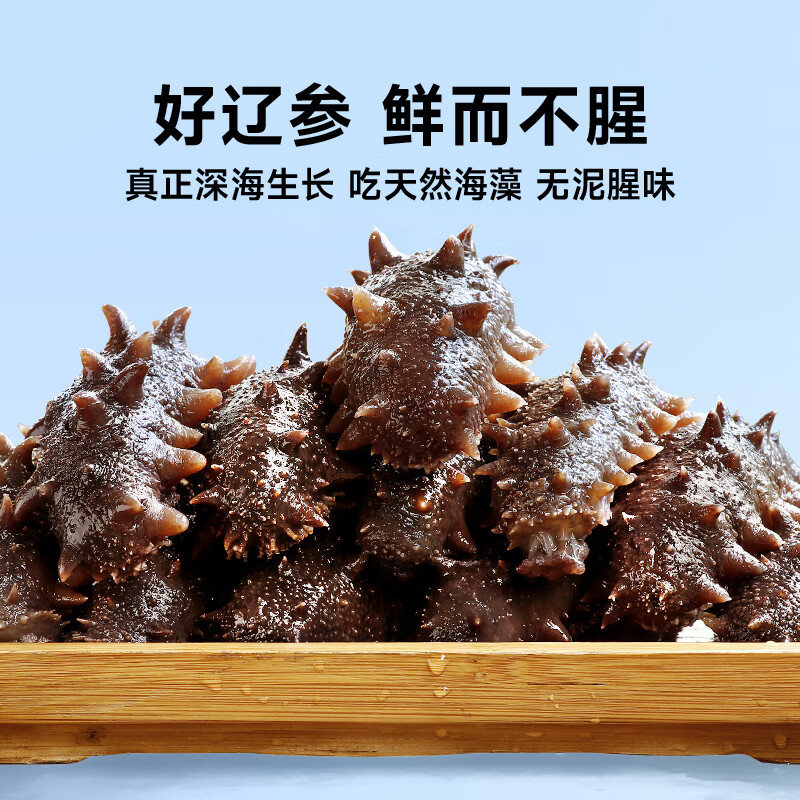 久年大连海参鲜活辽参海生野生海参 500g 11-15只