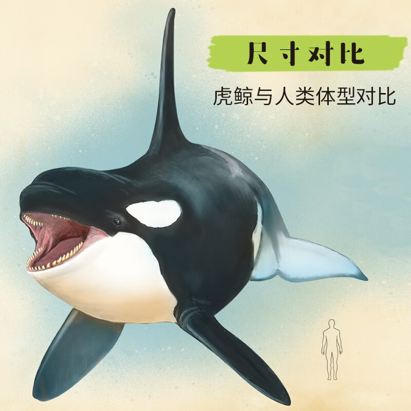 动物笔记：神秘的海洋动物详情图