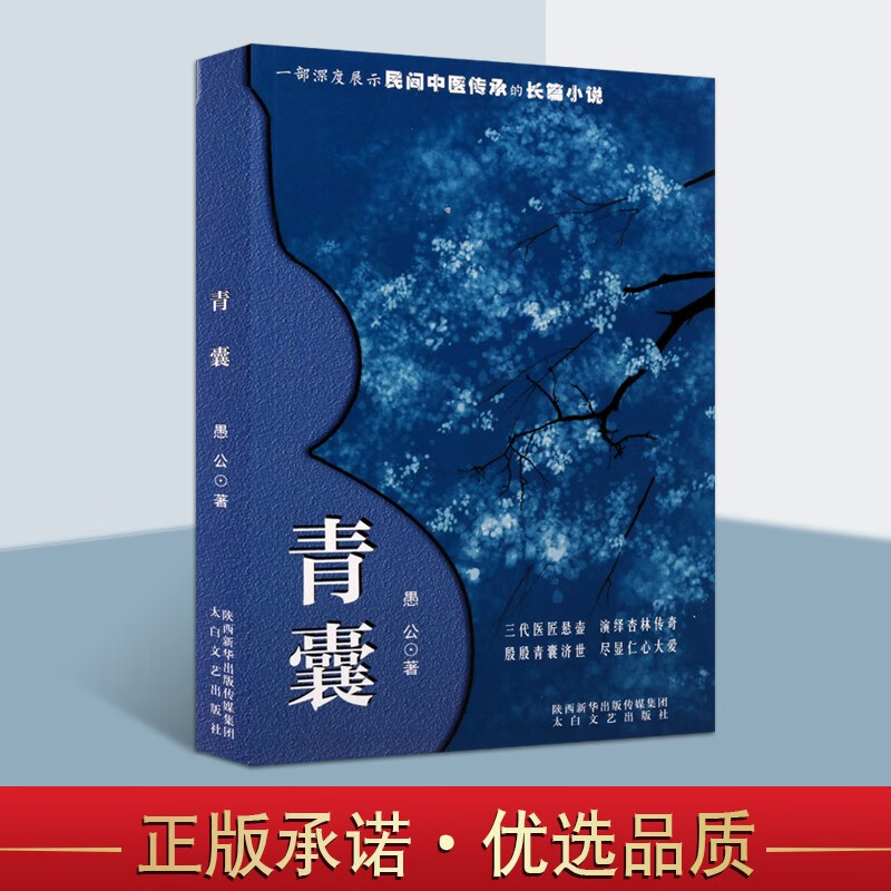 青囊 愚公 民间中医传承长篇小说 中国当代文书籍 太白文艺出版社