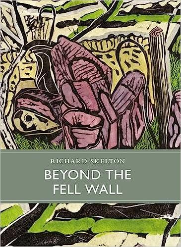 预订 beyond the fell wall