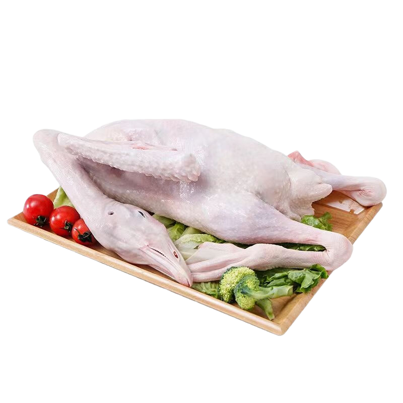 ڲɱũɢ׶ֻ䶳ιƷ 8ɱ4-5/ֻ+ϰ+ʲ 46.9Ԫ