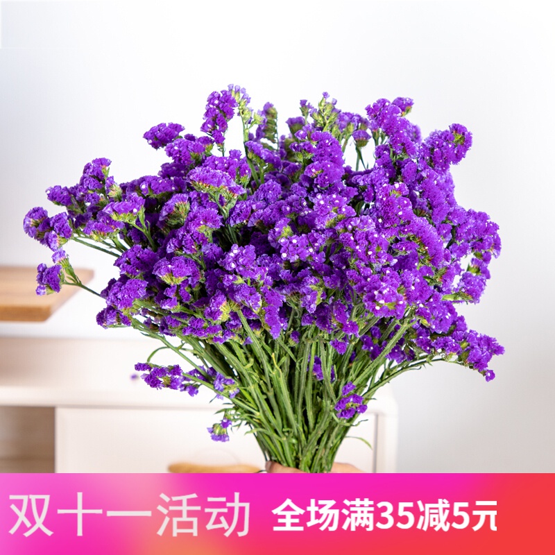 紫色勿忘我 买1斤送1斤 可插2大瓶