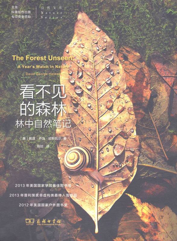 看不见的森林【正版图书】