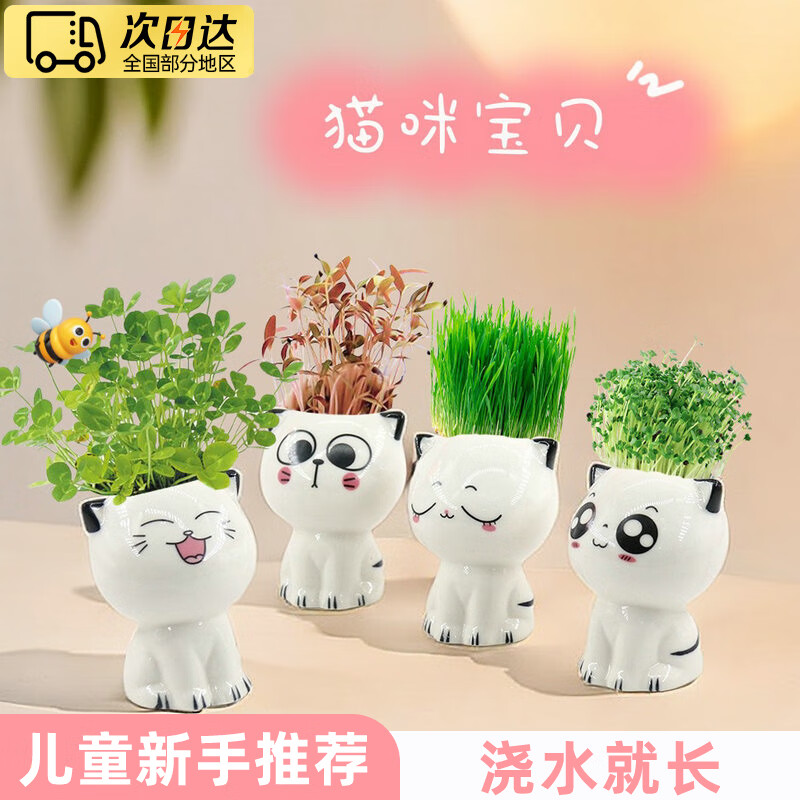 iosn幼儿园绿种植小盆栽儿童种子草头娃娃种草创意观察养植物发芽长草 幸运草【大笑猫咪】 长草头娃娃办公室桌面小盆栽