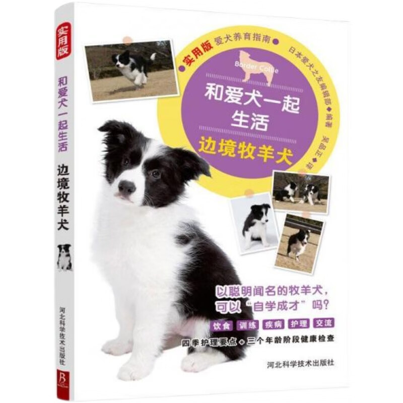 【正版】和爱犬一起生活:边境牧羊犬 售价高于定价