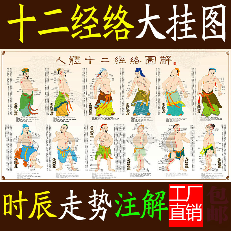 温妤(wxpyu)十二经络挂图人体穴位图艾灸穴位图解中医养生馆大挂图