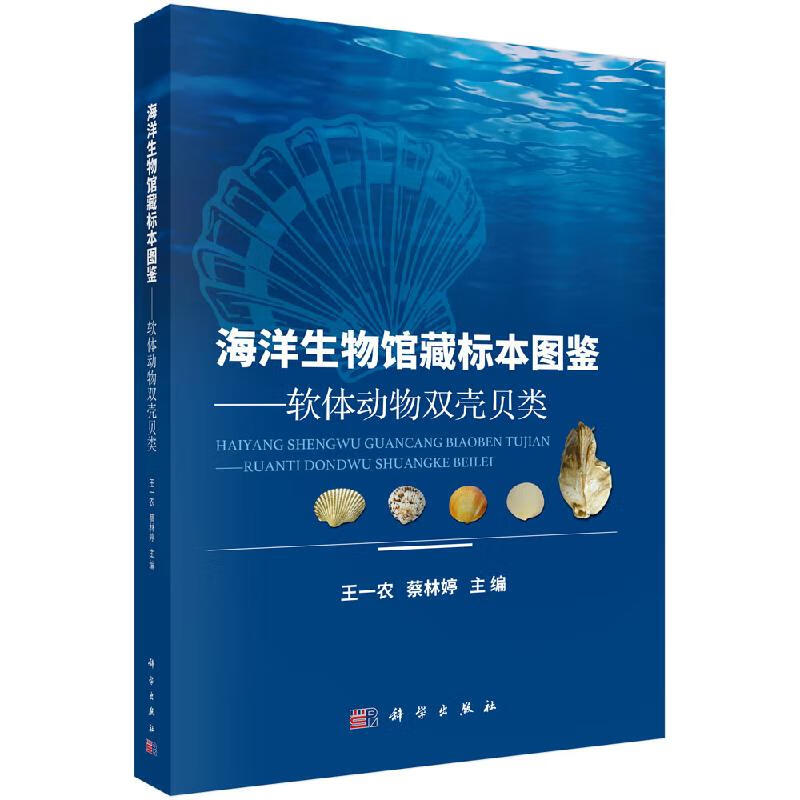 海洋生物馆藏标本图鉴——软体动物双壳贝类