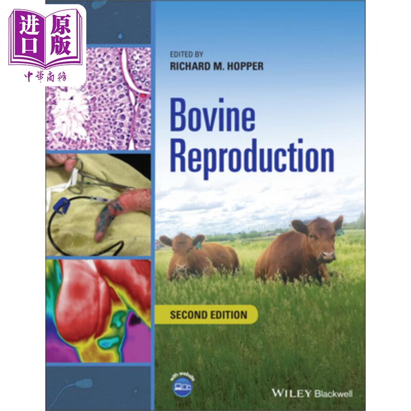 牛繁殖 第2版 bovine reproduction, 2nd edition 英文原版 richard