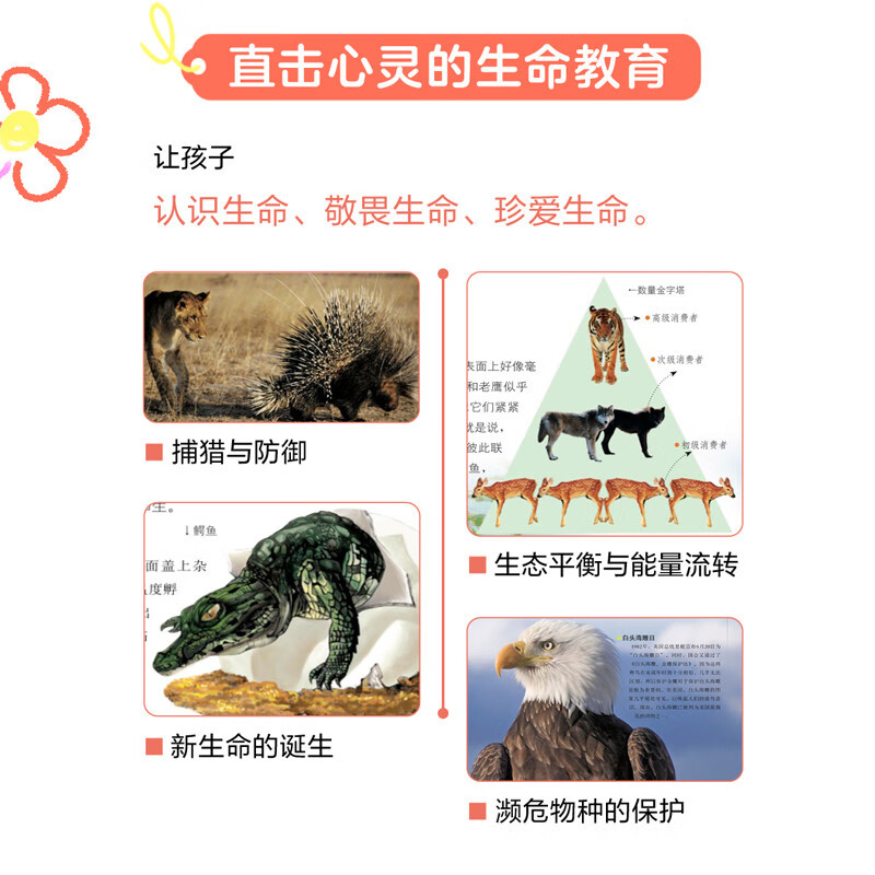 动物大百科 给孩子的课外阅读科普绘本  精装共3册详情图