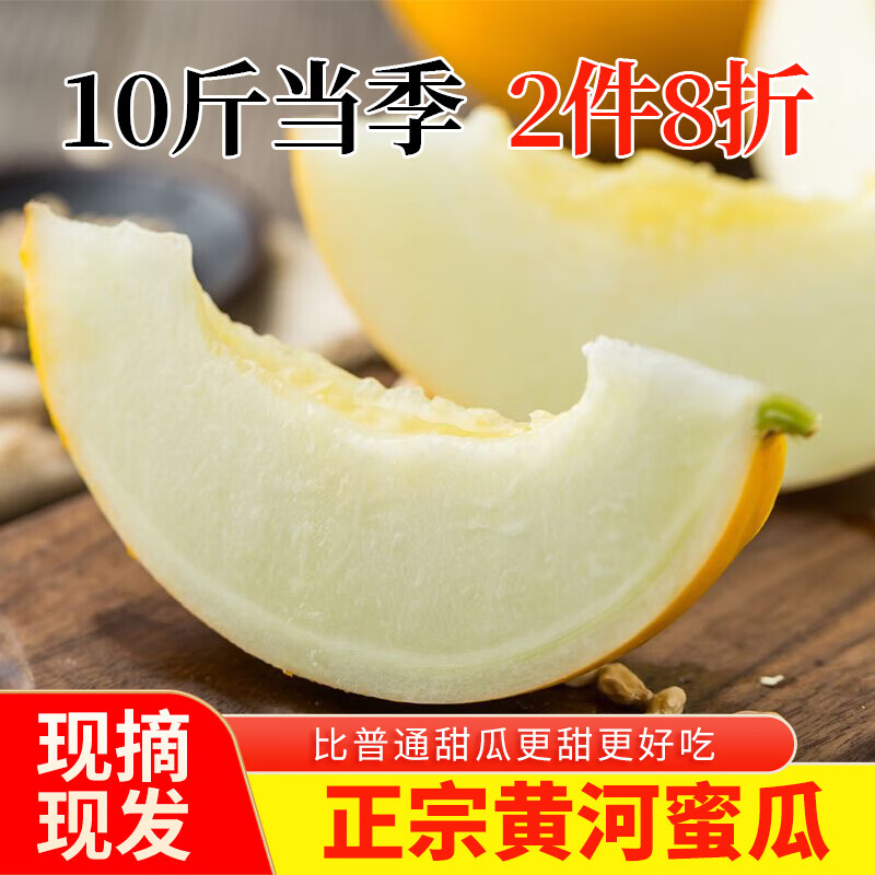 花海农田甄选黄金蜜山东黄河蜜瓜当季头茬现摘脆甜肉厚多汁 整箱10斤装 10斤(特级果批发2-4个) 黄河蜜瓜