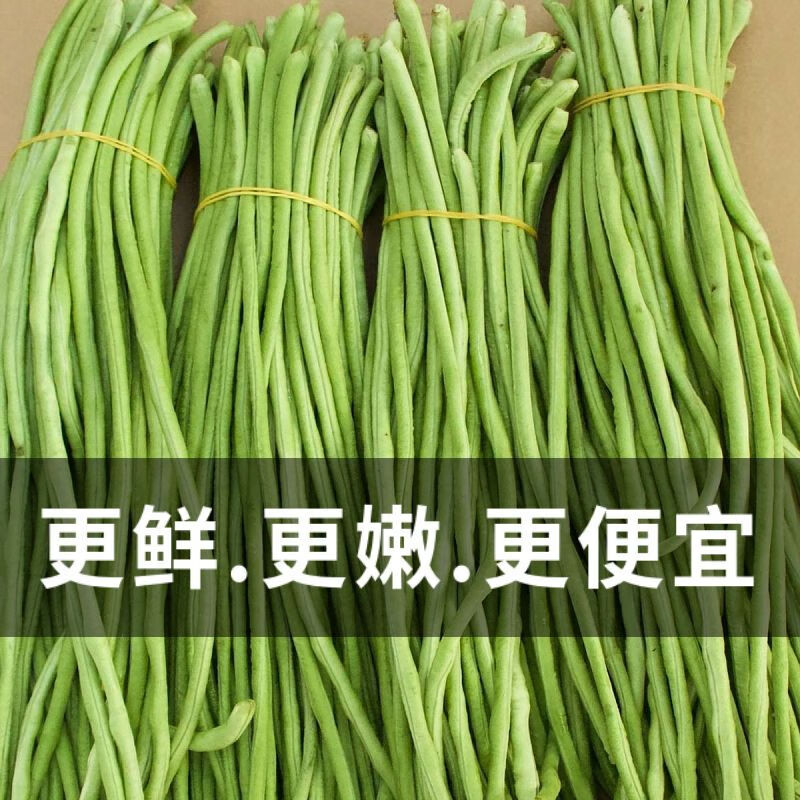 格沃斯（GEWOSI）当天现摘长豆角新鲜蔬菜嫩豇豆现摘青豆角可腌制酸豆角批发 1斤尝鲜装
