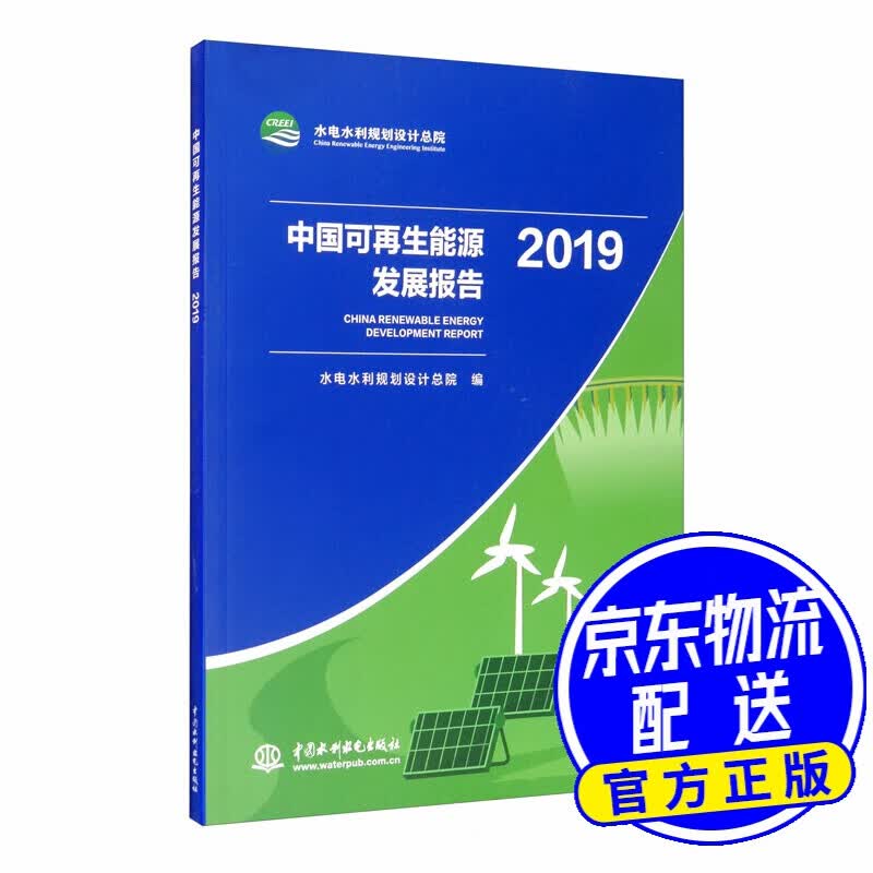 中国可再生能源发展报告2019