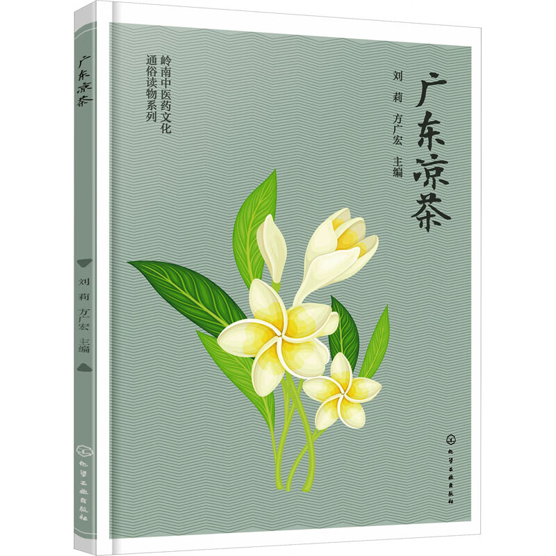 广东凉茶 图书