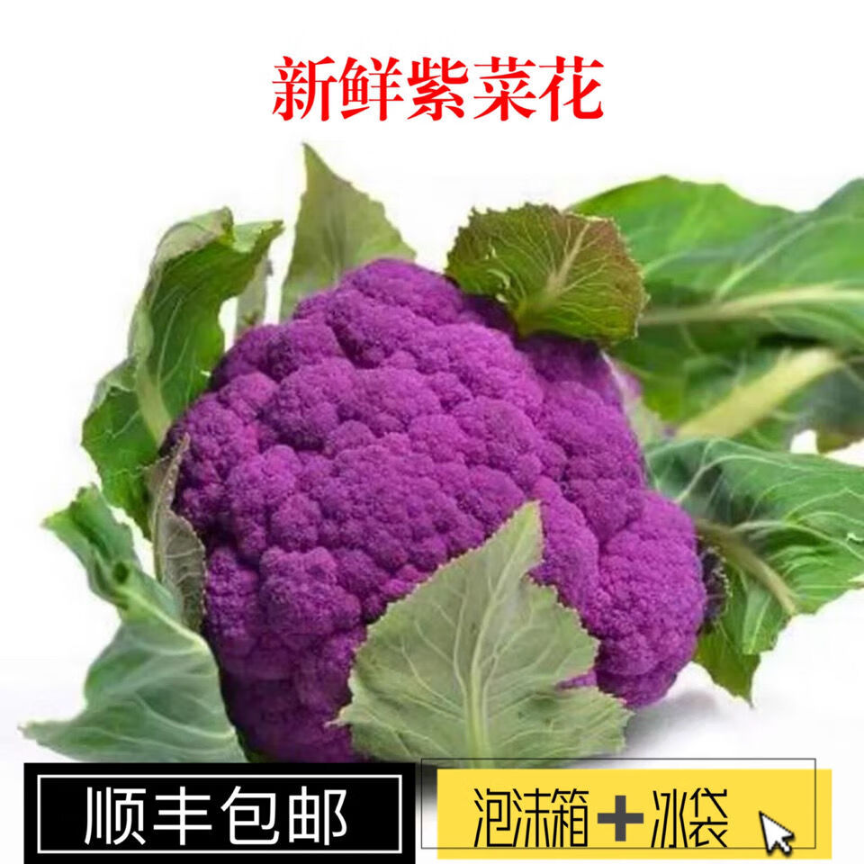 新鲜现摘紫色菜花松花菜花椰菜紫花菜时令菜农家自种蔬菜顺丰包邮