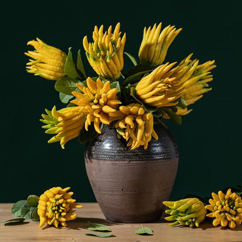 辰实金华新鲜佛手果 佛手鲜果 佛手柑黄果 香橼果观