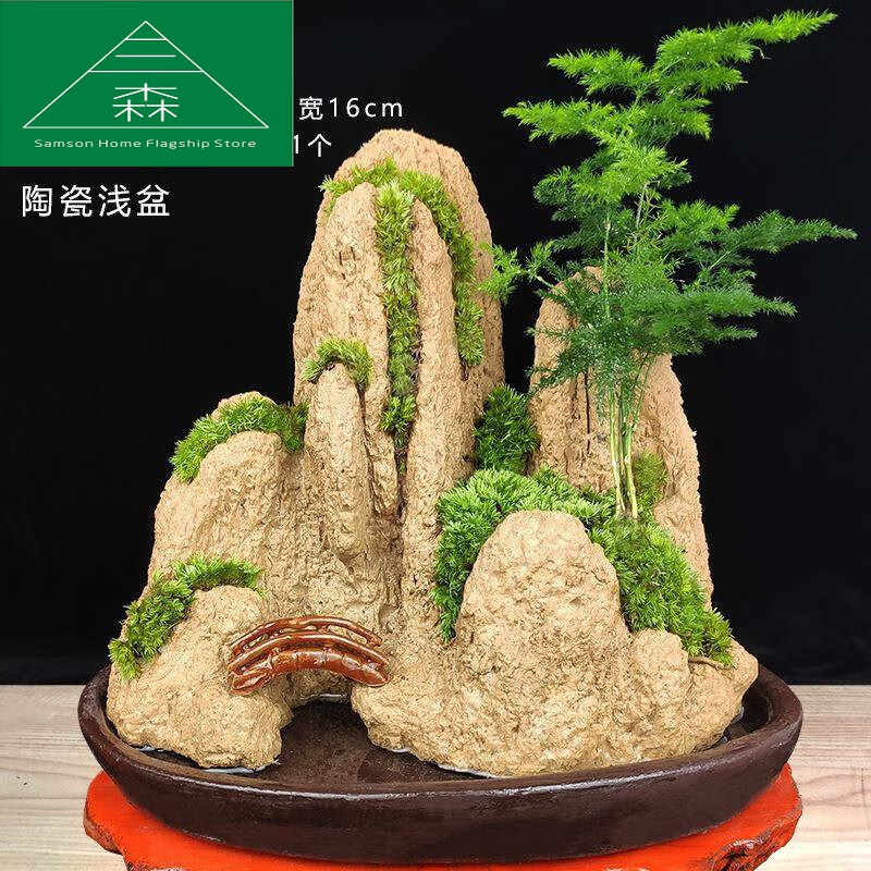 吸水石盆景上水石摆件鱼缸假山流水造景室内微景观奇石客厅观赏石好物
