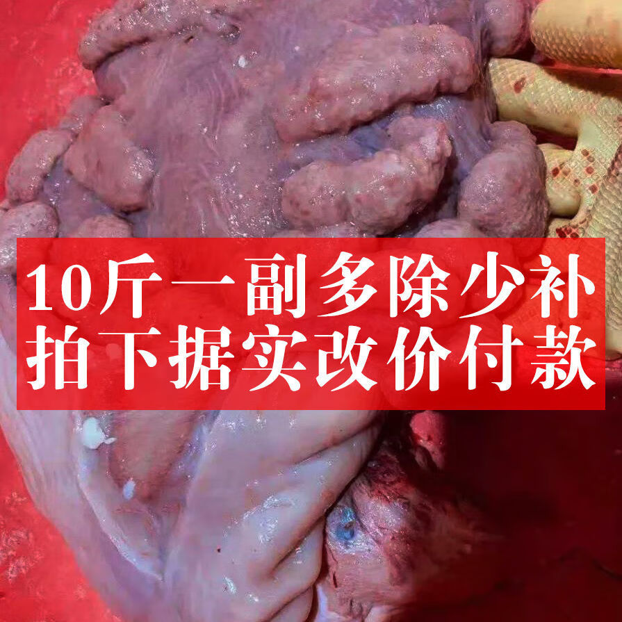 伟博牛胎盘黄牛包衣新鲜冷冻食用牛胞衣广东火锅食材男女皆宜 一副装