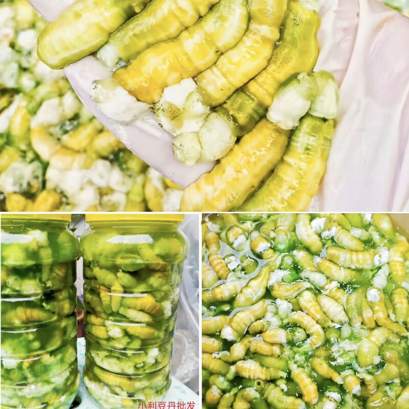 现幹豆丹肉豆虫肉豆虫豆丹豆丹虫豆丹灌云豆丹连云港豆丹油炸批发 净