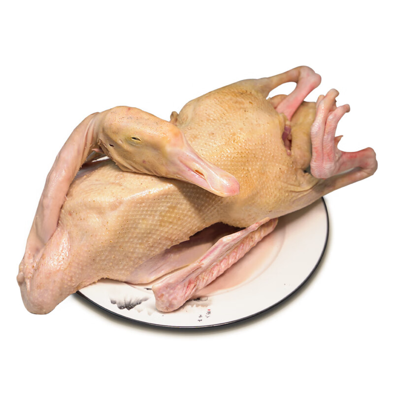 新鲜大白鹅农家散养大鹅肉现杀整只鹅土鹅肉 大白鹅一只