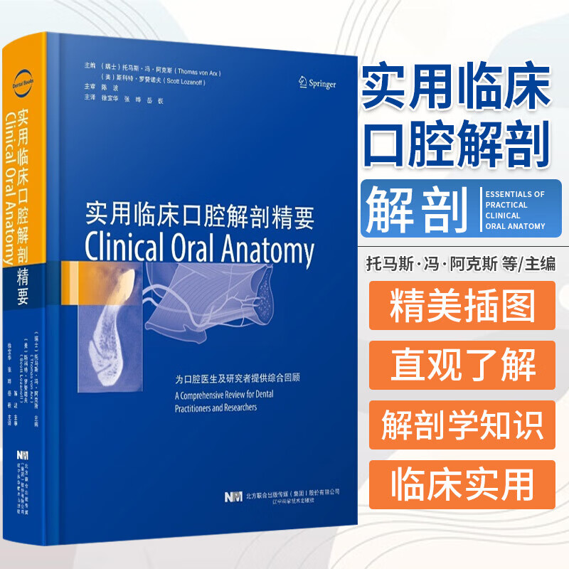 实用临床口腔解剖精要 舌神经和下颌舌骨神经上牙槽中神经及动脉托马斯冯阿克斯等主编 辽宁科学技