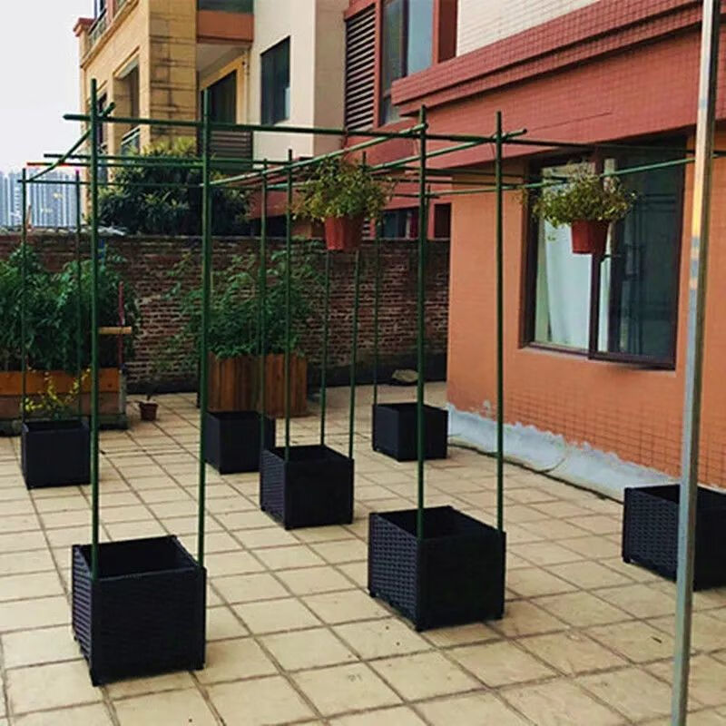 倾晨爬不锈钢架庭院葡萄架爬不锈钢杆架 百香果黄瓜丝瓜线莲攀爬架 花