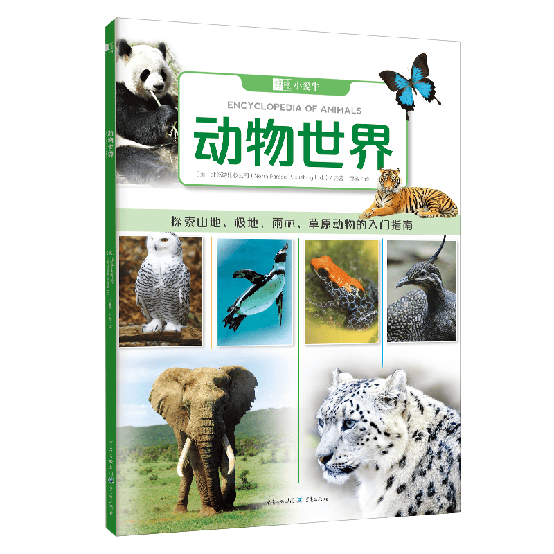 动物世界