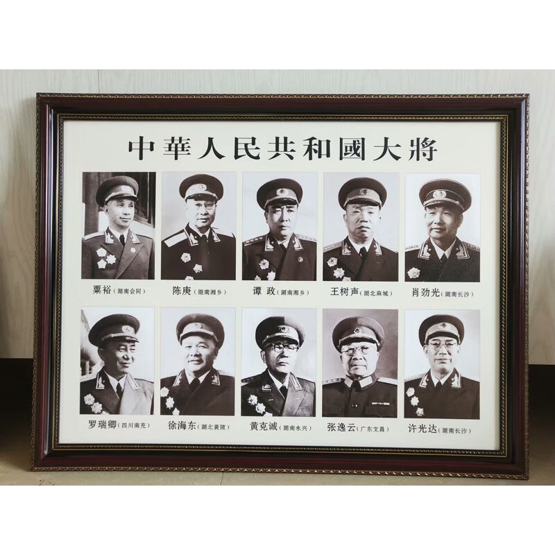 兰琦欧 画像挂画装饰画旧版十大将军像 办公室书房 十位大将 75*52cm