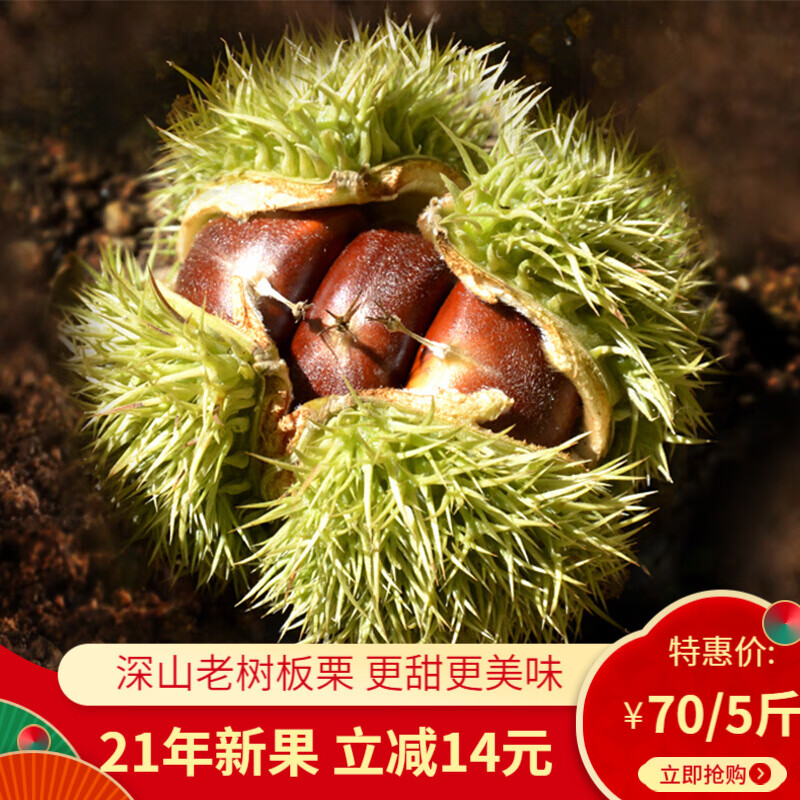 栗源2021年新鲜板栗 老树生新鲜生板栗散装称重带壳栗子 大栗子河北