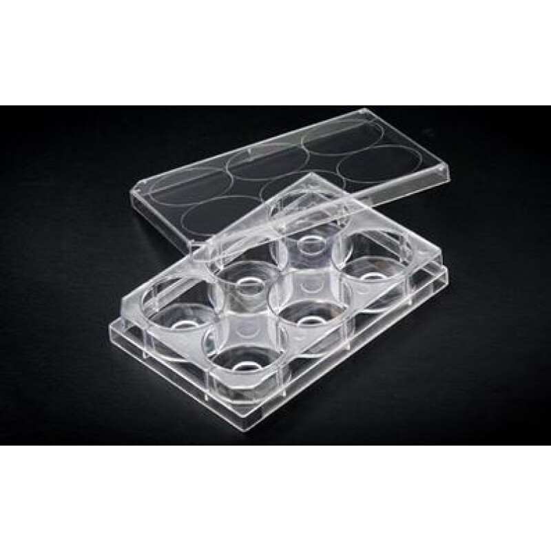 玻底20mm激光共聚焦6小孔板玻底细胞培养皿6孔板共聚焦培养皿无菌