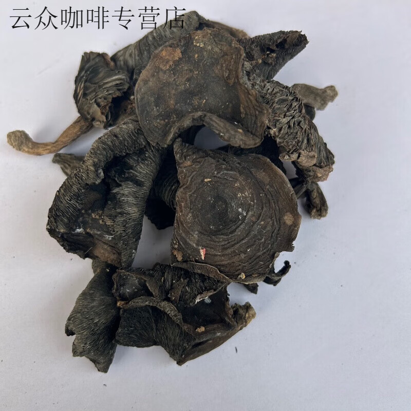 望蓝川正宗黑碳菇直销煲汤新鲜干货家用菌黑炭商用火炭菌 黑碳菇10克