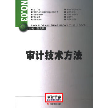 2014年高级审计师考试教材审计技术方法【正版】