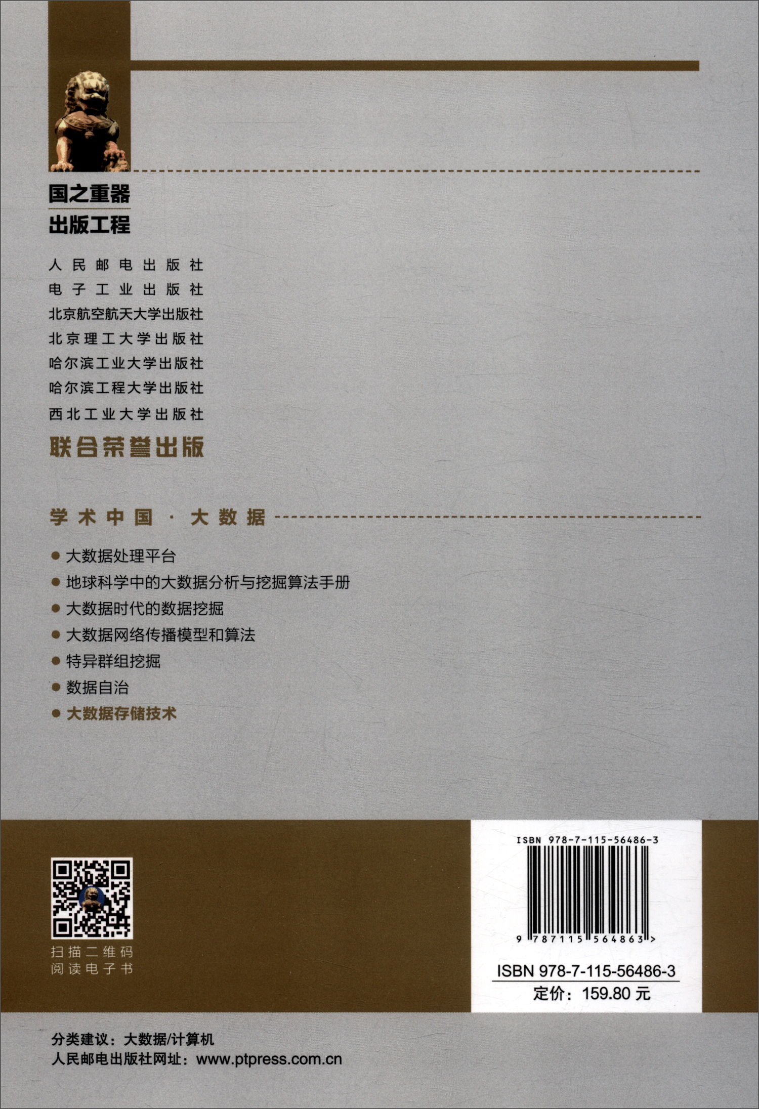 国之重器出版工程 大数据存储技术详情图