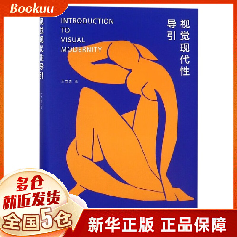 视觉现代性导引(精)