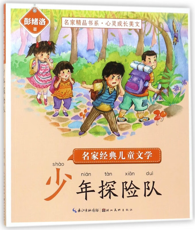 少年探险队/名家经典儿童文学/名家精品书系