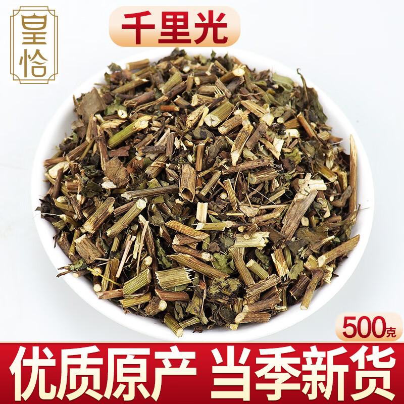 北京同仁堂野生新鲜千里光中草药 九里明 九里光片黄花母泡澡泡脚中